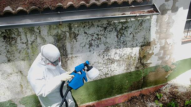 Top rated local Crawl Space Mold Remediation specialists in Duluth, WA